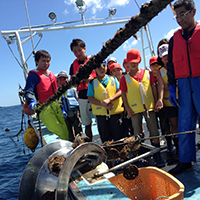 Children experience fishery activities with local fishers in a program offered by Moriumius Lusail in the Ogatsu area of Ishinomaki, Miyagi Prefecture. | QATAR FRIENDSHIP FUND
