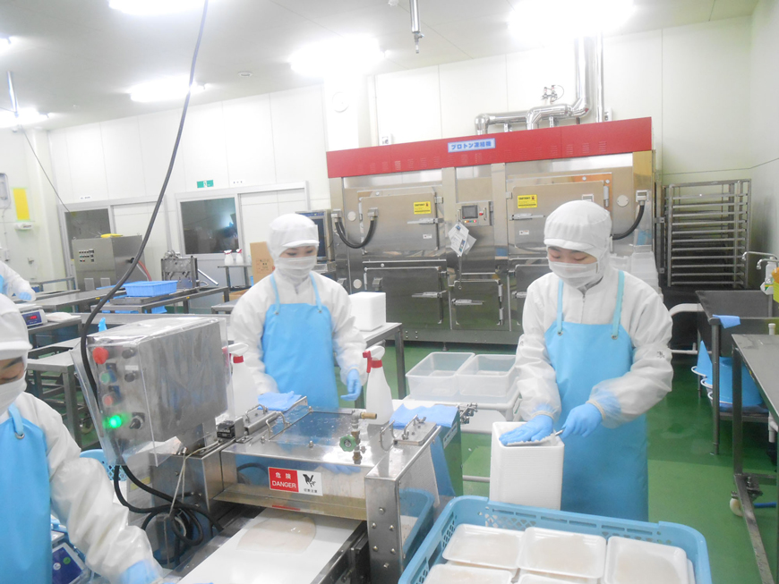 Kamaishi Hikari Foods Co. in Kamaishi, Iwate Prefecture, introduced a system that freezes marine products without destroying cell membranes. | QATAR FRIENDSHIP FUND