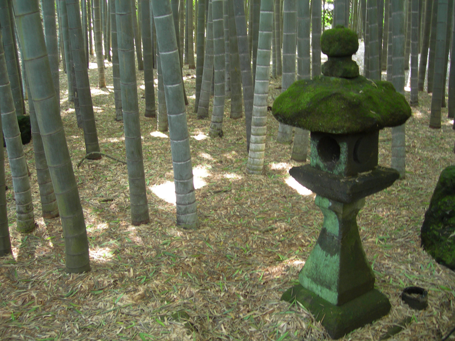 Quietness, bamboo forest and lantern, Miyagi Pref.
