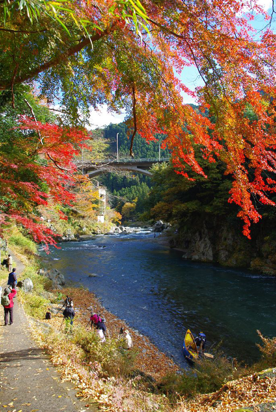 Red leaves on the Mitake Canyon, Tokyo