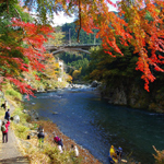 Red leaves on the Mitake Canyon, Tokyo