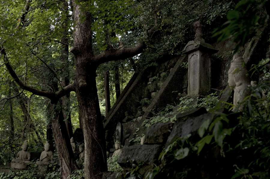 Garden of Raitei, Kamakurayama, Kanagawa Pref.