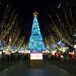 Christmastime comes to Aoba Street in Shizuoka