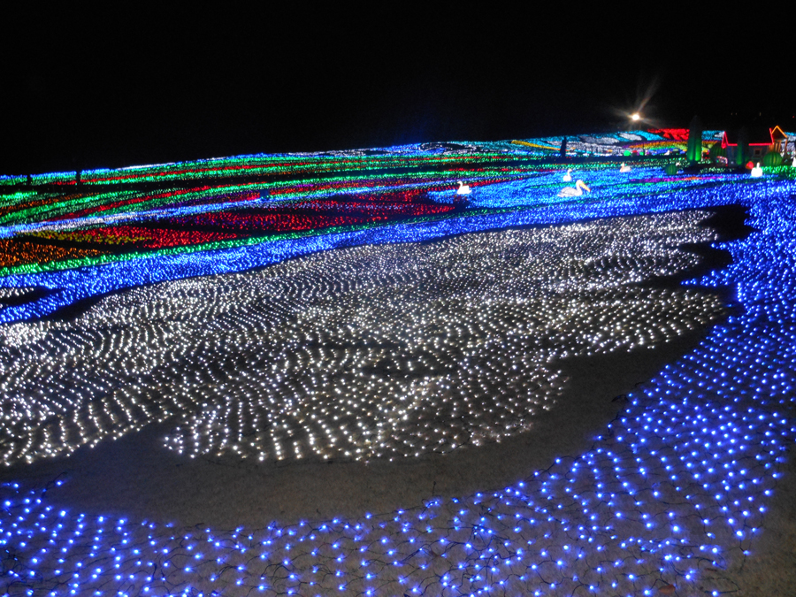 Field of Lights, Sodegaura, Chiba Pref.