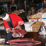 Bigeye tuna cutting show, Fuji, Shizuoka Pref.
