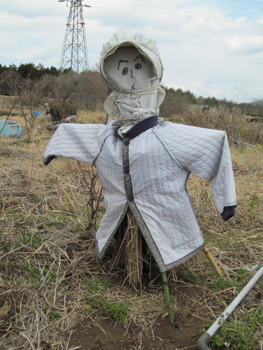 Kakashi scarecrow in the field, Susono, Shizuoka Pref.