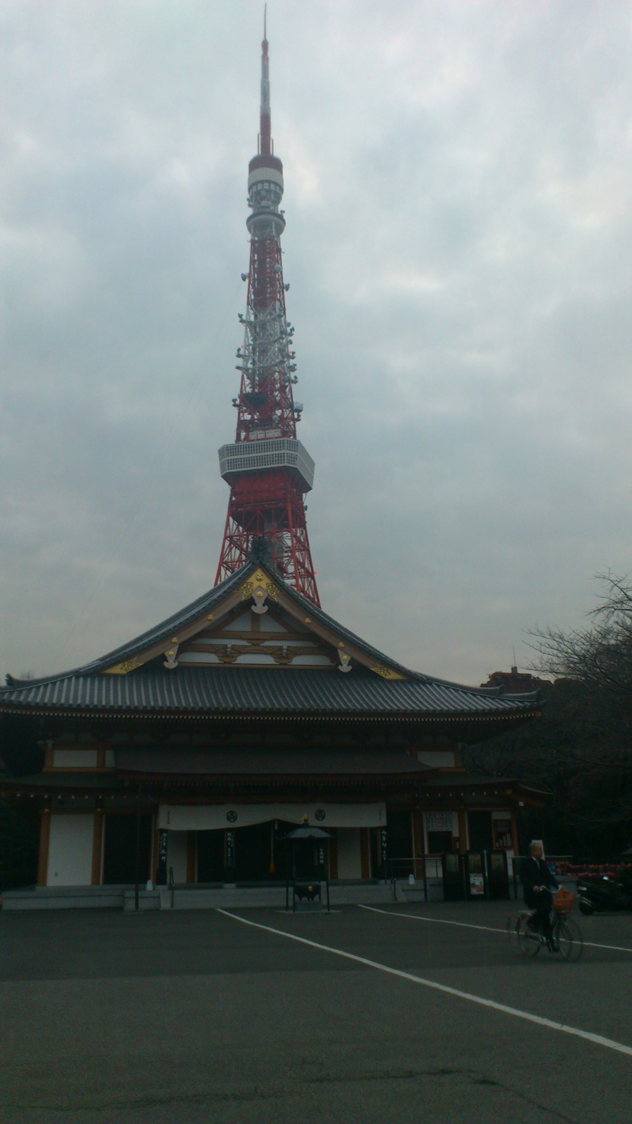 Juxtapose to a higher level, Zojoji Temple, Tokyo