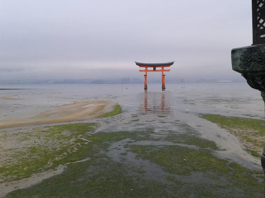 During a eld trip to Miyajima Island, Hiroshima Pref.