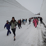 Magnicent Snow Corridor Walking, Hakkoda Mountains, Aomori Pref.