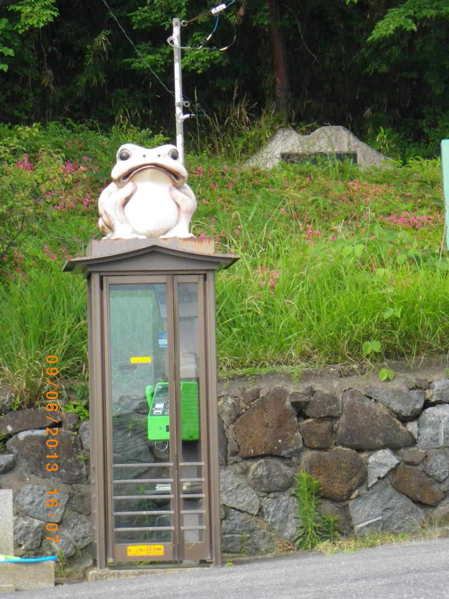 Frog, the symbol of rainy season, Mount Tsukuba, Ibaraki Pref.