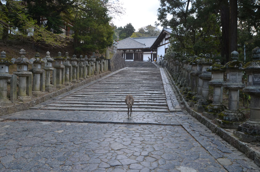 Todaiji, Nigatsudo, Nara -- Taken by FABRICIUS | The Japan Times Weekend Scene