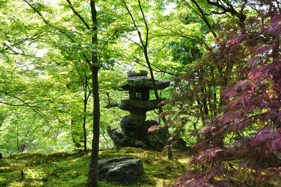 "Approaching Silence," Kyoto