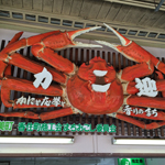 A big crab, Kasumi Station, Hyogo Pref.