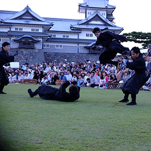 Maedafs ninja at Hyakumangoku Festival, Kanazawa, Ishikawa Pref.