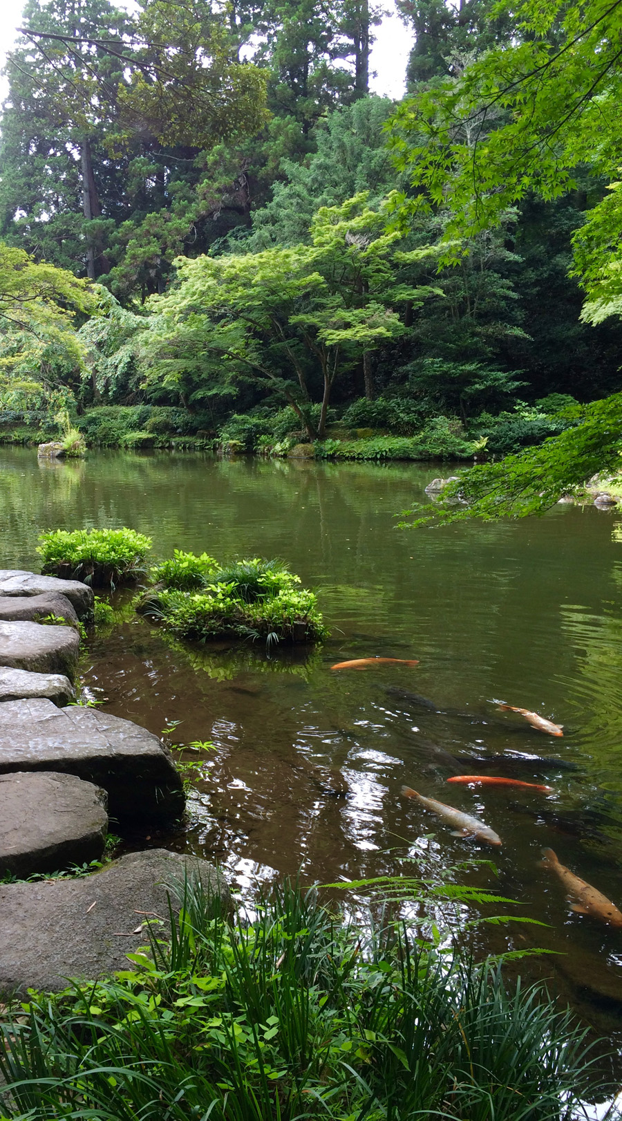 Tranquility in a gem of a garden, Naritasan Shinshoji Temple, Chiba Pref.