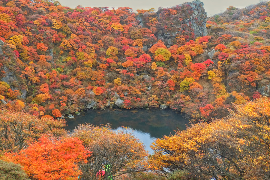 Mesmerized at the sight of autumn colors, Mount Taisen, Oita Pref.
