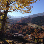 Beautiful fall colors overlooking Shirakawa-go valley and hills, Gifu Pref.