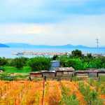 The Seto and farmland on Shodoshima Island, Kagawa Pref.