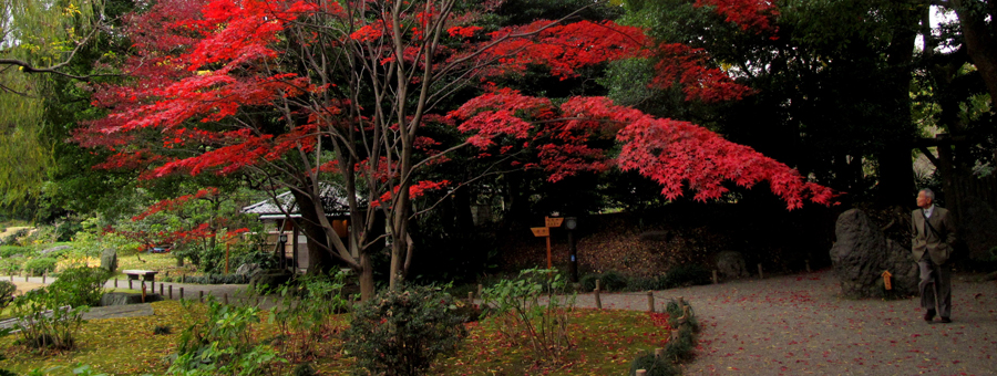 Last autumn, Kiyosumi Teien, Tokyo