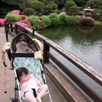 Peaceful sleep, Shinjuku Gyoen National Garden, Tokyo